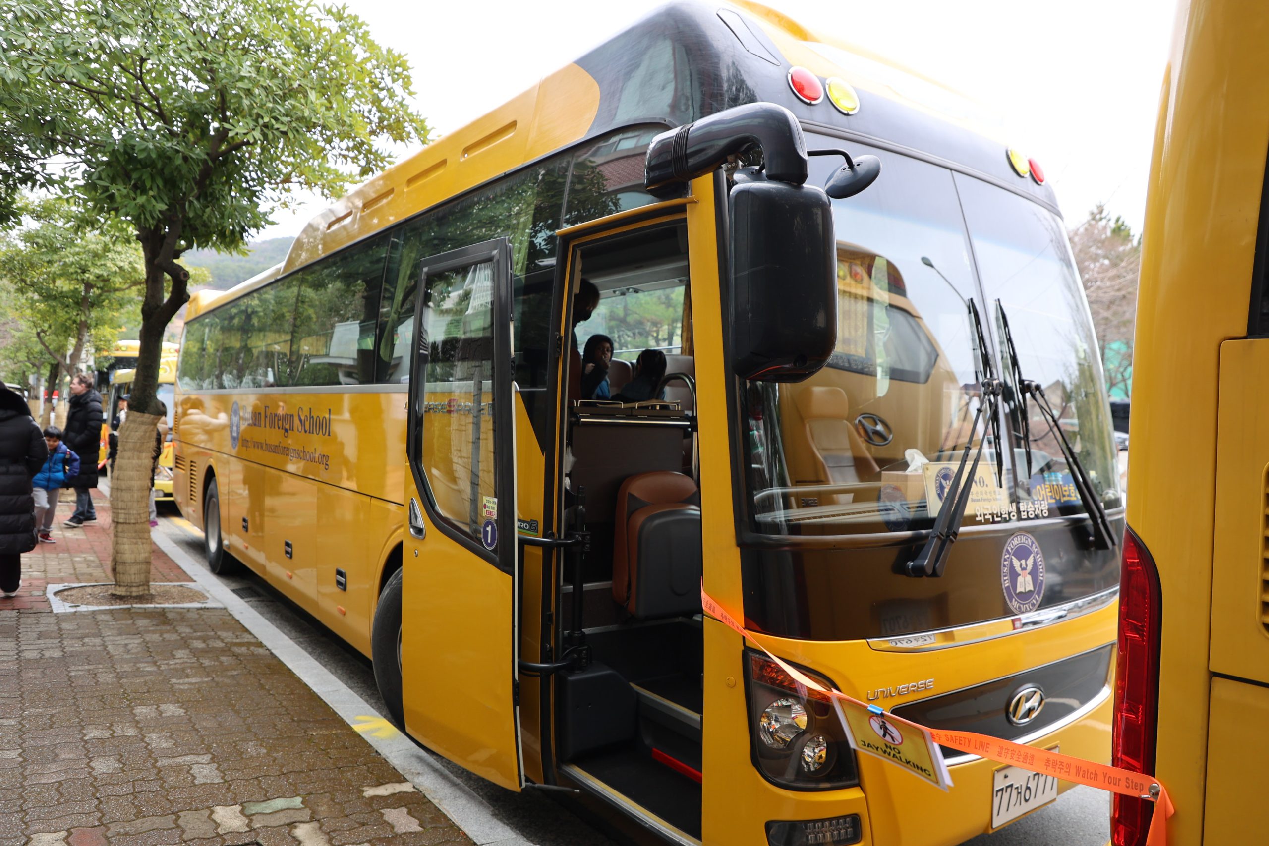 bus only
